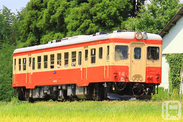 夷隅鐵道的 Kiha 52 型柴油車，在全線停駛期間宣布停止商業運作（夷隅鐵道提供）