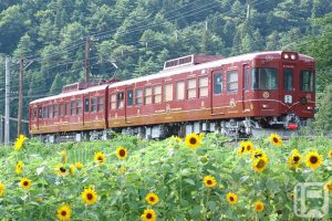 活動列車「富士山啤酒」搭載的富士山麓電鐵1000系列「富士登山鐵道」（富士山麓電鐵提供）